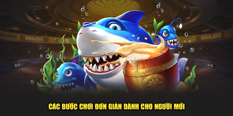 Các bước chơi đơn giản dành cho người mới