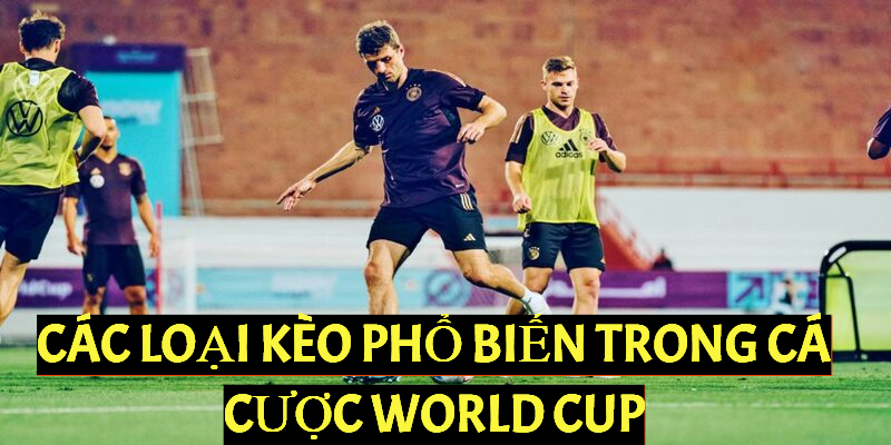 Các loại kèo phổ biến trong cá cược World Cup gồm những loại nào?