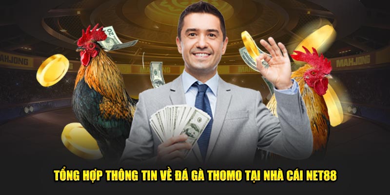 Tổng Hợp Thông Tin Về Đá Gà Thomo Tại Nhà Cái Net88